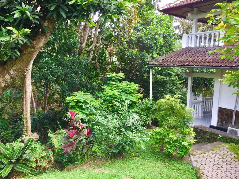 B&B Home Stay Griya Jungutan