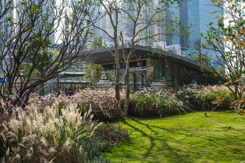 Shezhen Duwel Service Apartment Luohu