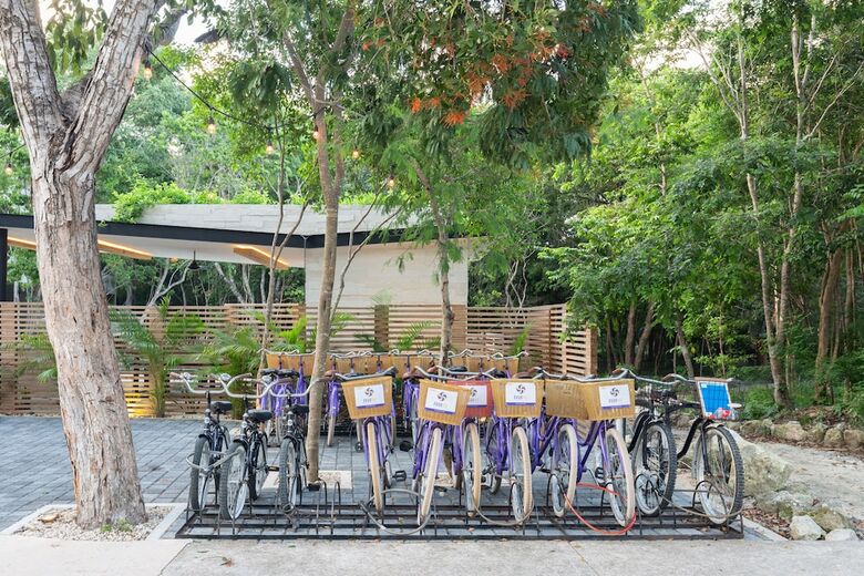 Apartamentos Casa Selva 3br With Jacuzzi - Attha Cenote