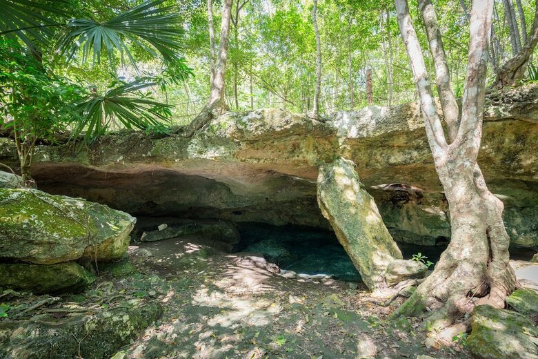 Apartamentos Casa de Sue�os 3br Jacuzzi Dream - Attha Cenote
