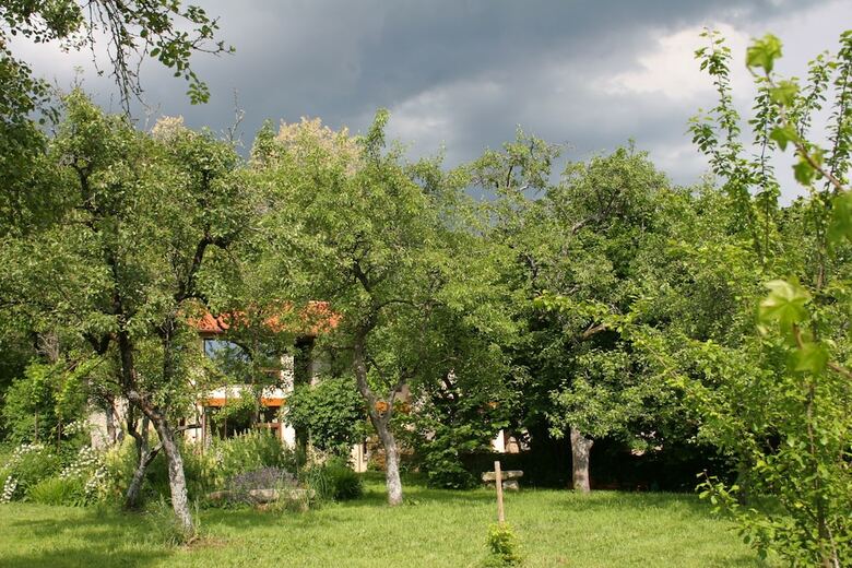 Bed & Breakfast Pazo de Chaioso