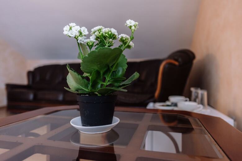 Hotel Kristina-a