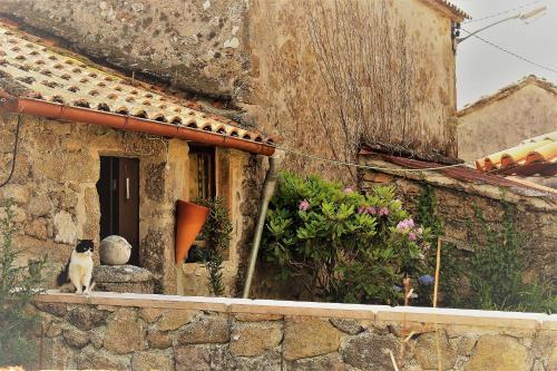 Hostal Casa Ra�l