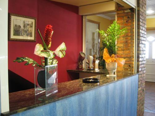 Hostal Restaurante El Surtidor