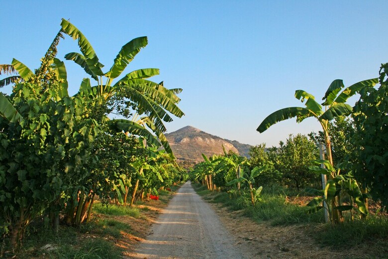 Agroturismo Rosmarino Park