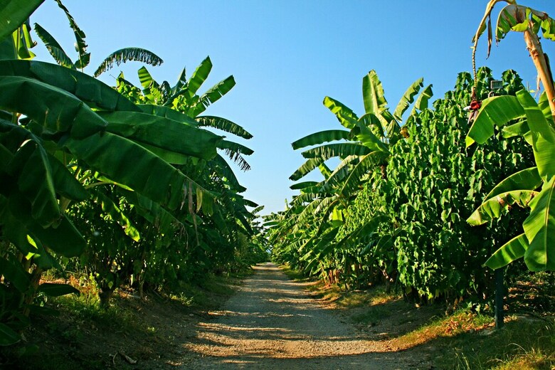 Agroturismo Rosmarino Park