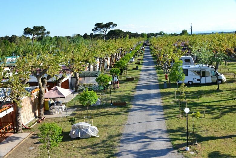 Camping Classe