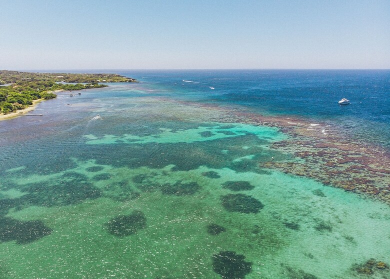 Hotel Tranquilseas Eco Lodge & Dive Center
