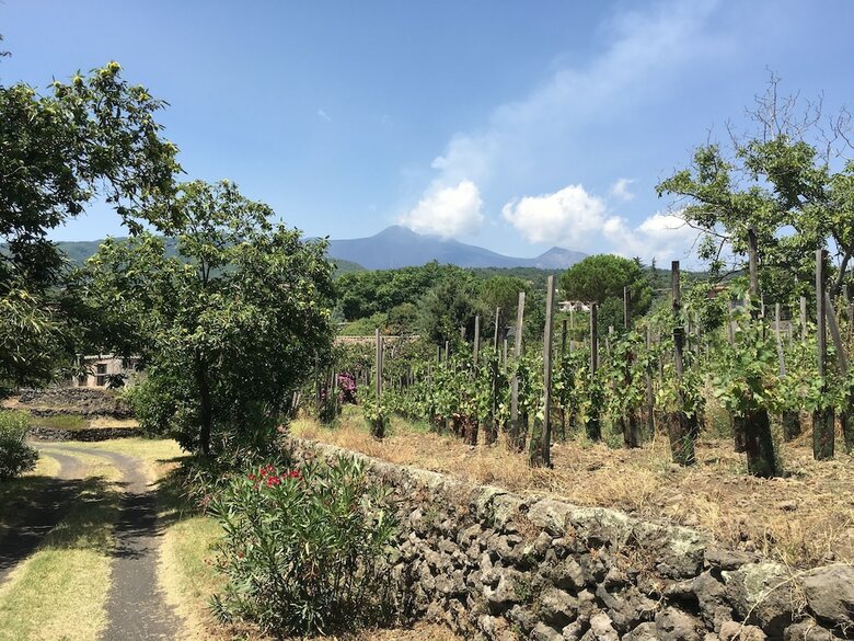 Bed & Breakfast Alberto's Mt. Etna B & B