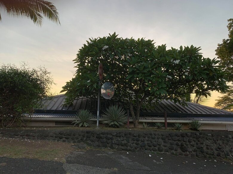 Mahina Apartment - Elegantly Tropical