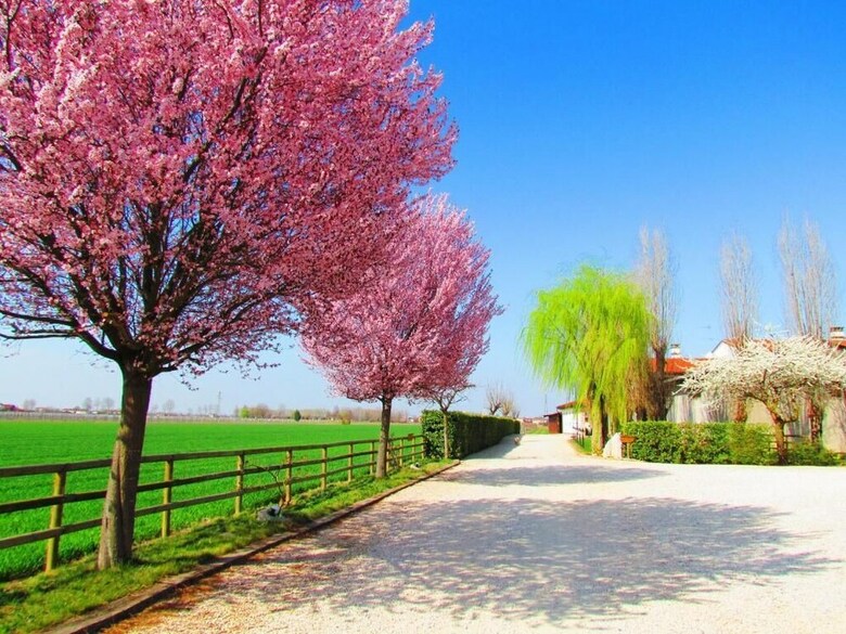 Agroturismo Agriturismo Le Cipressine