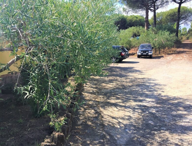 Bed & Breakfast Casale Rendine