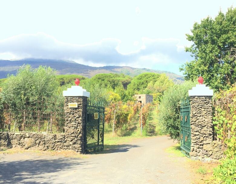Bed & Breakfast Casale Rendine