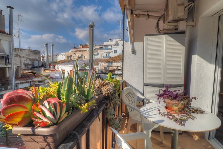 Orquidea Apartment