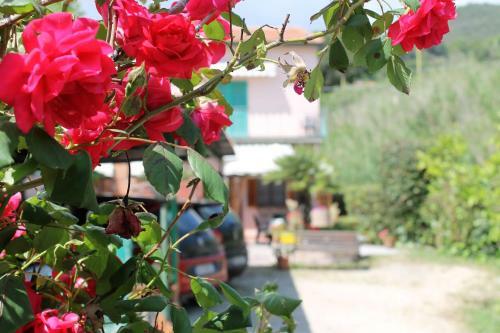 Apartamento Appartamenti Val Di Denari