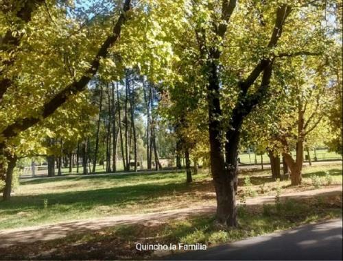 Lodge Caba�a Del Parque