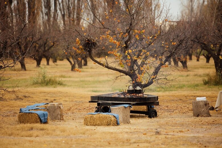 Hotel Algodon Wine Estates & Champions Club