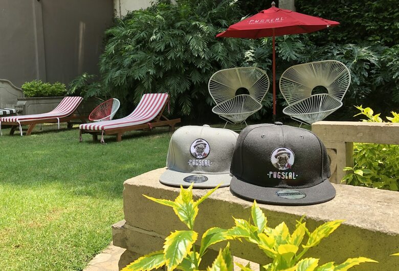 Bed & Breakfast Pug Seal Coyoacan