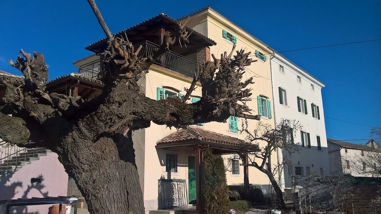 Apartamentos Villa Angiolina