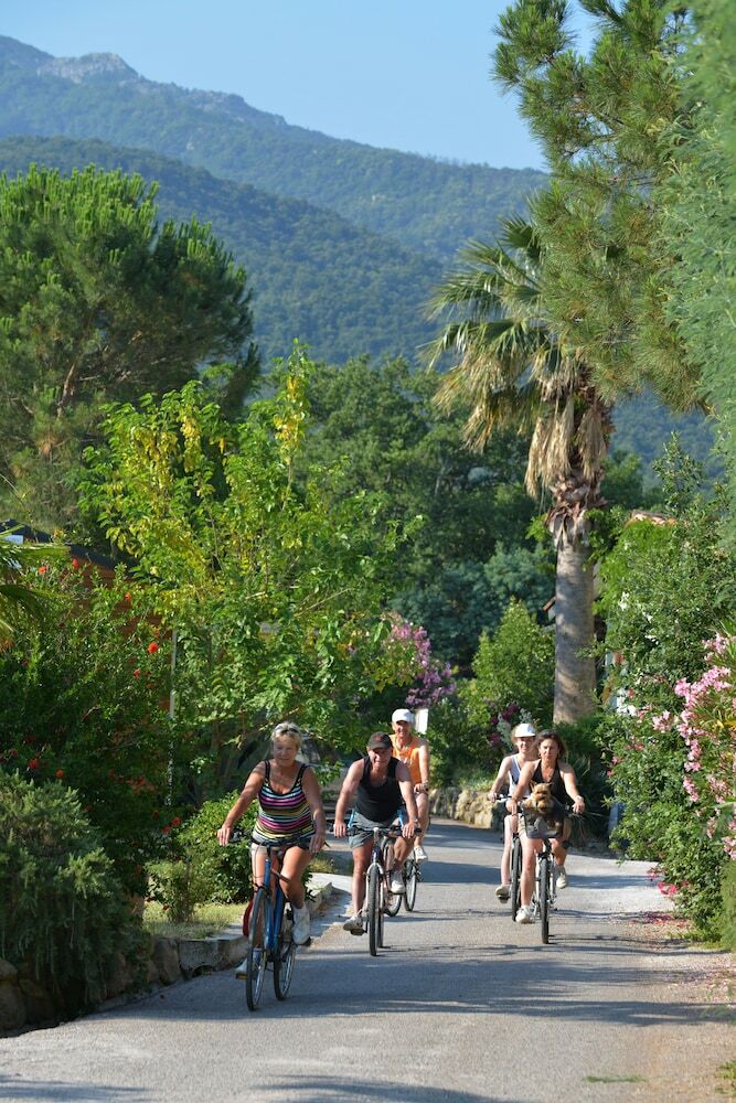 Cybeles Vacances Camping Les Alb�res