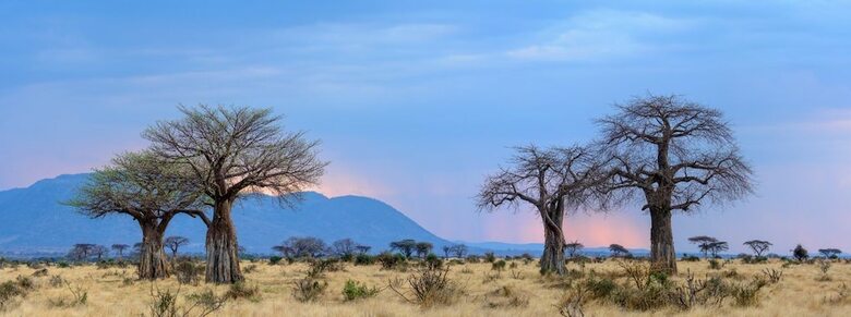 Hotel Ruaha Dream Villa