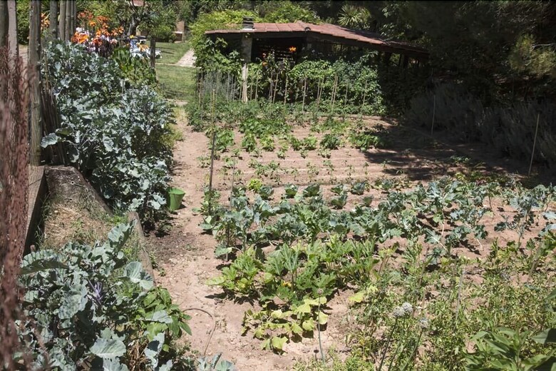 Agroturismo Quinta Camarena