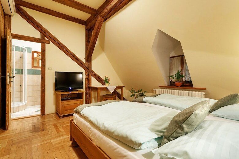 Bed & Breakfast Penzion U K?iv�ho Psa