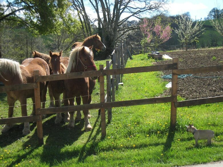 Bed & Breakfast Chambre D'h�tes Azkena