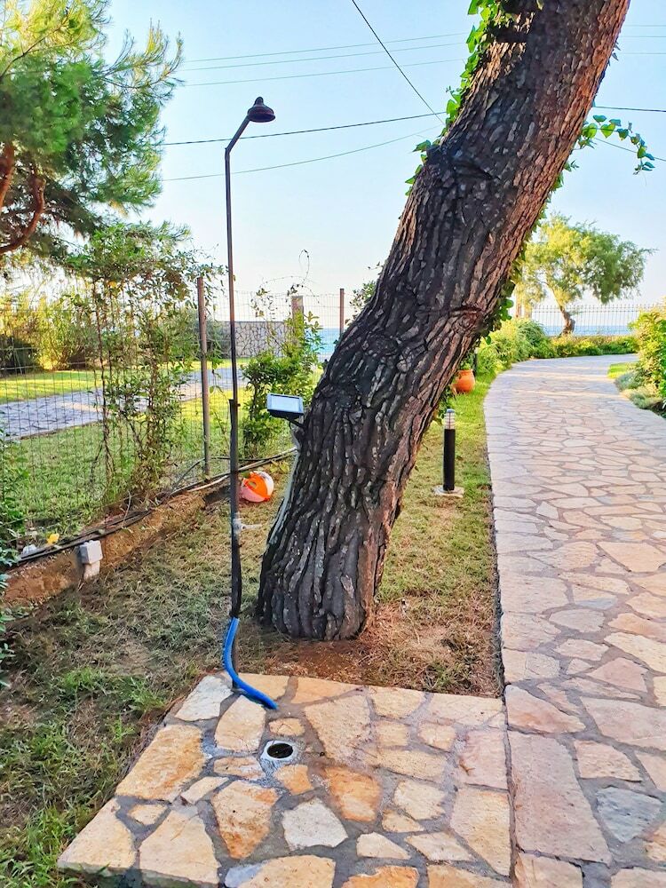 Apartamentos Makis&fani Homes