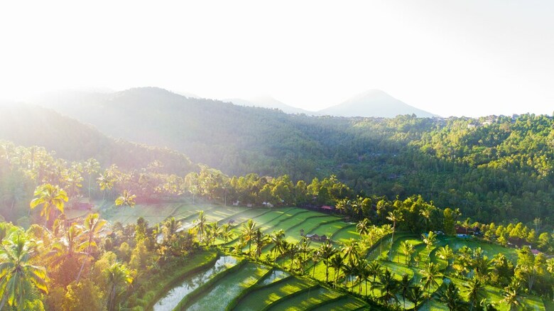 Damarwidi Glamping By Madhava