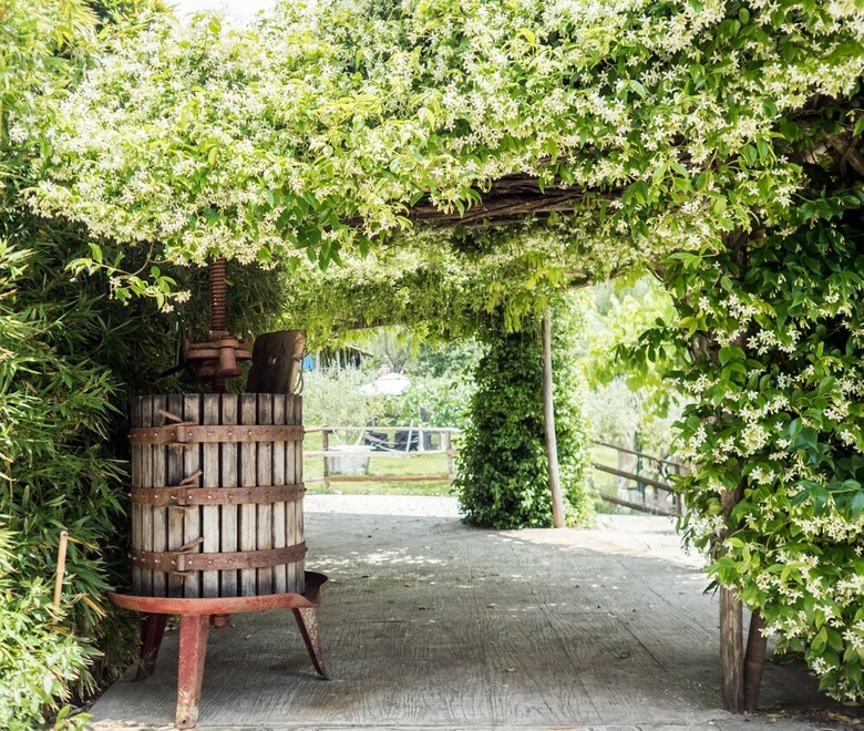 Bed & Breakfast Villa De Luccheri
