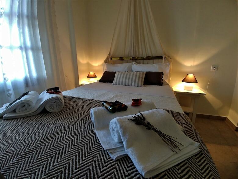 Thymes Traditional House