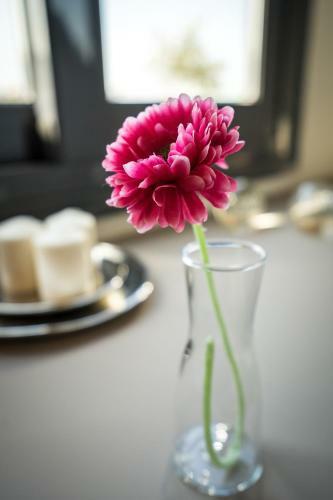 Urban Nest - Suites & Apartments