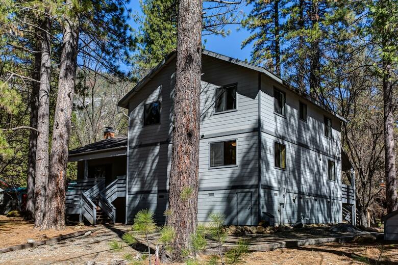 Cabin Among The Firs