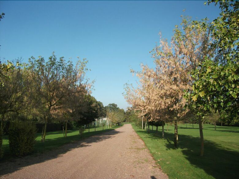 Hotel Domaine Du Mont Hulin - Chambres D'h�tes