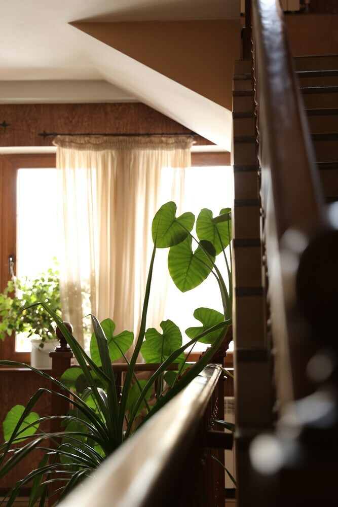 Alpen Ville Hotel