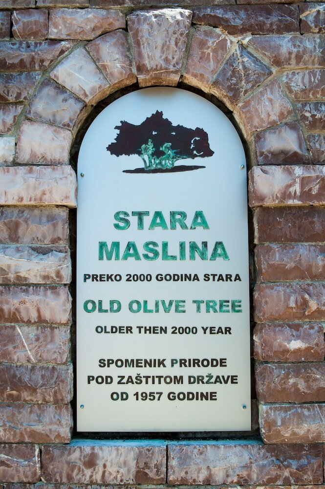 Minna Apartments