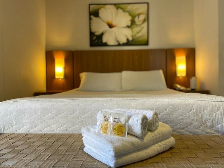 Hotel Plaza Norte