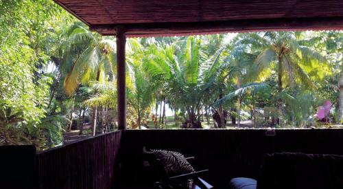 Hostal Jungle House