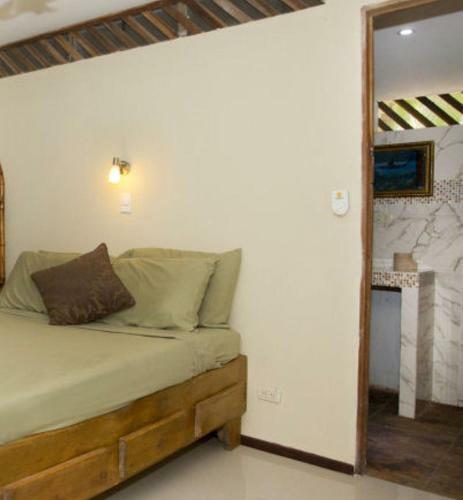 Hostal Jungle House