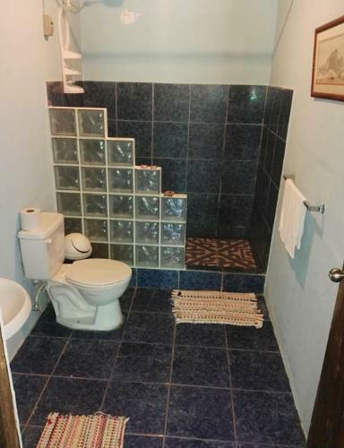 Hostal Jungle House