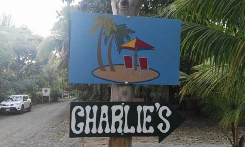 Hostal Jungle House