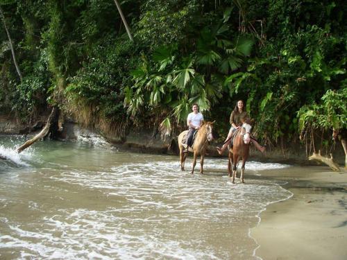La Perla Del Caribe