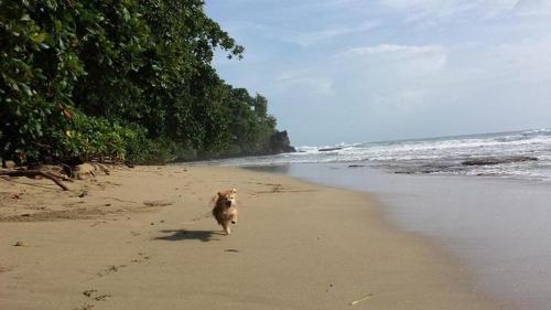La Perla Del Caribe