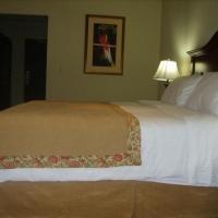 Baldi Hot Springs Hotel & Spa