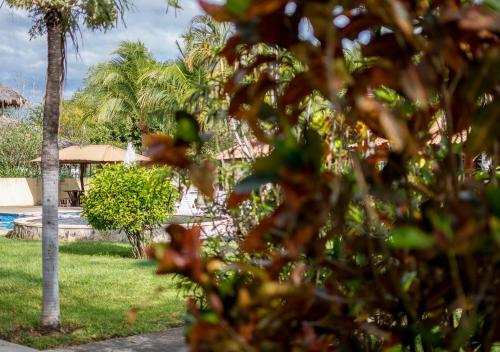 Hotel Guanacaste Lodge