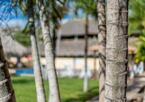 Hotel Guanacaste Lodge