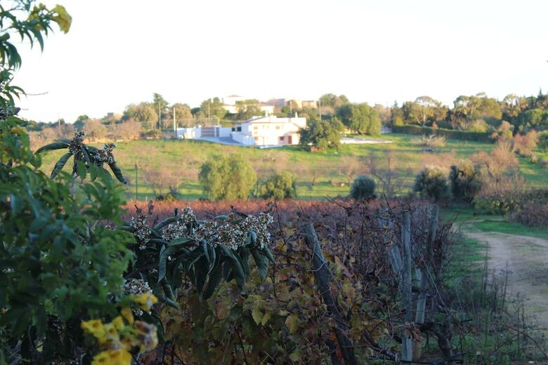 Wine House By Rental4all