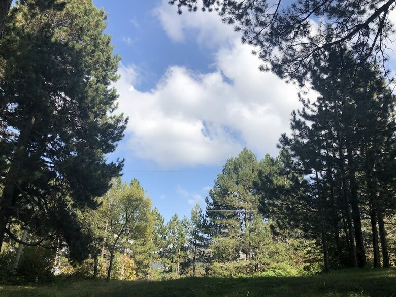 Hotel Shkreli Resort Qafeshtame