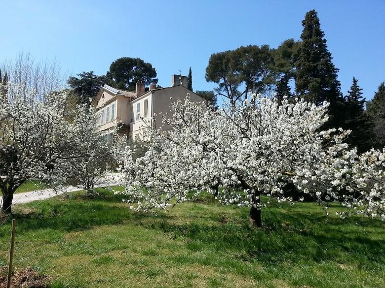 Bed & Breakfast La Royante